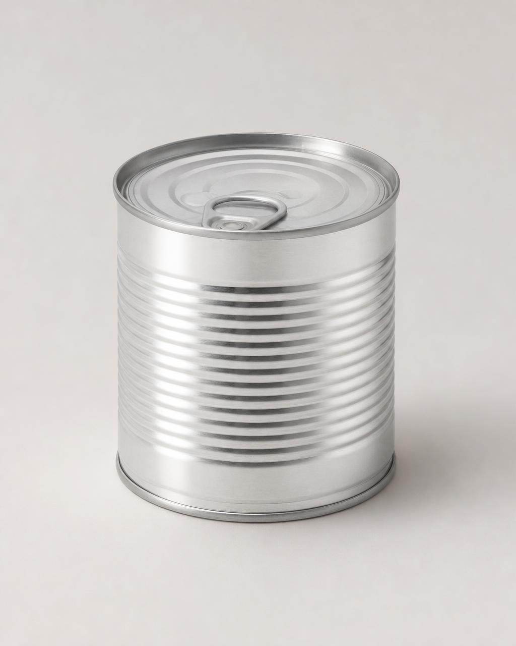 Tinplate food can (open top sanitary can)